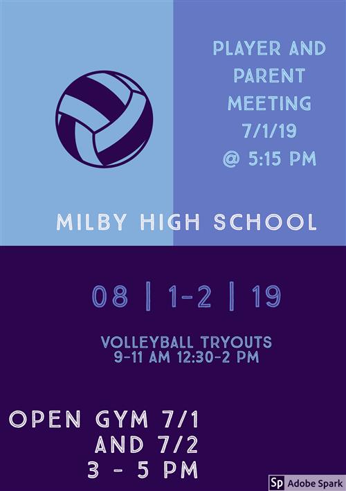 Volleyball information 